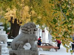 -北京石刻艺术博物馆(五塔寺)