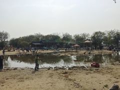 -鹅湖玫瑰文化园