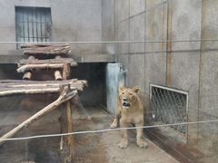 -西安秦岭野生动物园