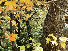 -天津盘山风景名胜区