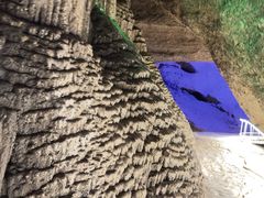 -寻龙山风景旅游区