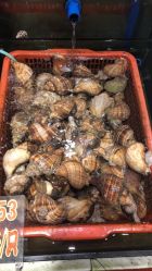 -惠食佳·宴会厅(滨江西路店)
