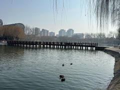 -中国农业博物馆