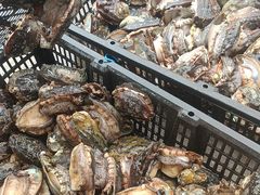 -原龙海鲜大排档(美食地标店)