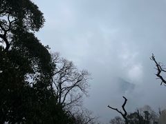-青城山