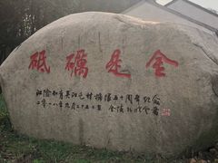 -同里国家湿地公园