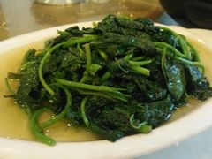 清炒苕尖-粤香村(清真川菜店)