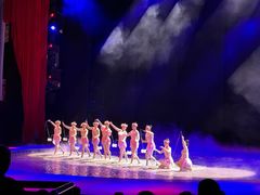 -水秀国际大剧院