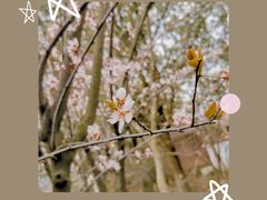 -南京市江宁方山