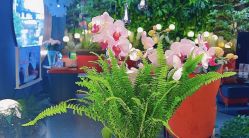 -花隐·美芙炫海菲秀皮肤管理中心