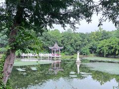 -青龙山国家森林公园
