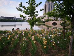 -江南大学(蠡湖校区)