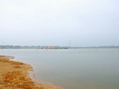 -金沙湖旅游度假区