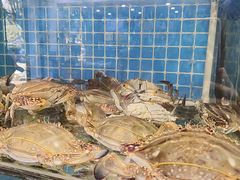 -杨记海鲜楼(三门黑金冠店)