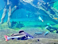 -华夏文旅海洋公园