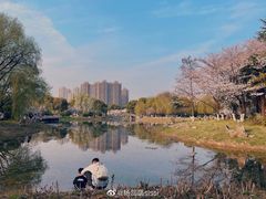 -堤角公园