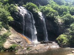 -陕西省红河谷森林公园