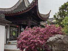 -苏州冶园园林民宿(太湖西山风景区店)