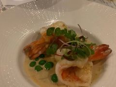 老虎虾-蝶舍·MAISON PAPILLON