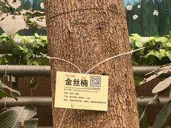 -呀路古热带植物园