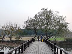-八卦田遗址公园
