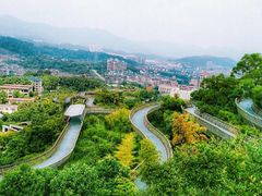 -福道