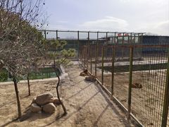 -中华郡文化旅游景区