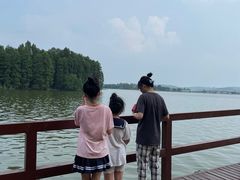 -东湖落雁景区