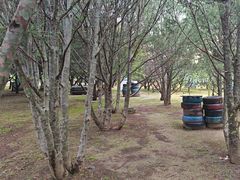 -亲兄弟真人CS团建拓展基地