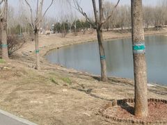 -东郊湿地公园