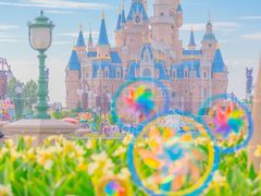 -上海迪士尼度假区