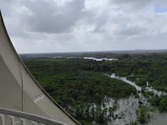 -东寨港红树林旅游区