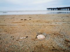 -北戴河东海水浴场