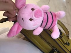 -PAWTOY爪e玩偶店(天兴罗斯福店)