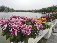 -中国翰园碑林