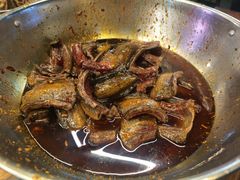 黄鳝-金海椒罐罐鲢鱼(东方桂苑店)