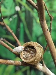 -Zoolung Zoolung动物主题公园(海信广场店)