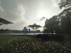 -映月湖中央公园
