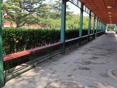 -北京市劳动人民文化宫(太庙)
