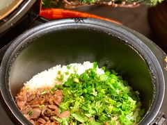 -羽鸽集·乳鸽专门店·地道顺德菜(岭南站店)