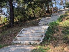 -青龙山国家森林公园