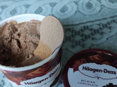 -哈根达斯(陆家浜路店)