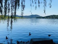 -苏堤停车场