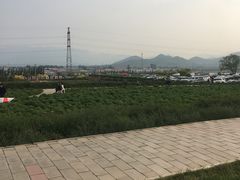 -君乐宝优致牧场