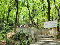 -惠山国家森林公园