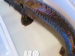 -江湖水乡铁锅炖魚(周庄嘉园店)