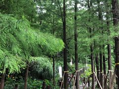 -重庆彩云湖湿地公园