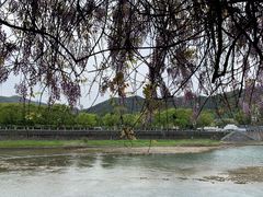 -溪口-滕头旅游景区