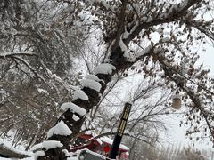 -水磨沟公园