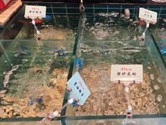 -黄山老妈·土菜(碧桂园店)